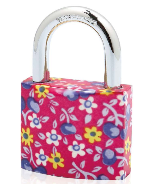 PAINTED PLATING PADLOCK