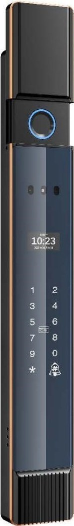 Double-sided embedded Automat ic smart lock for patio door